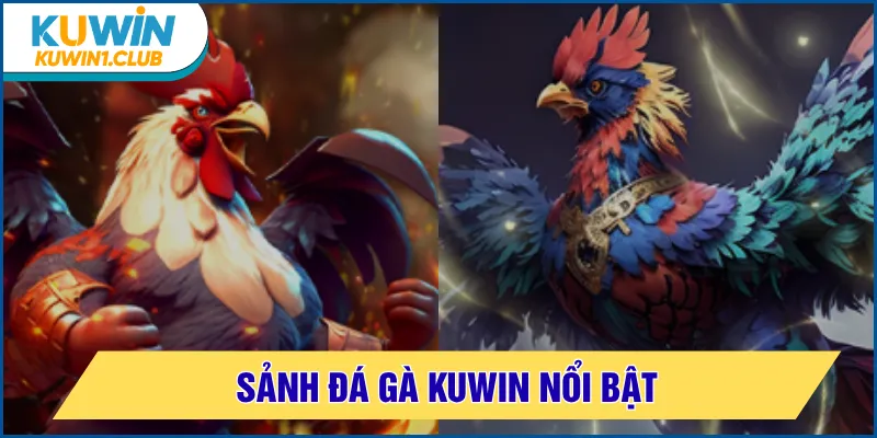 đá gà kuwin