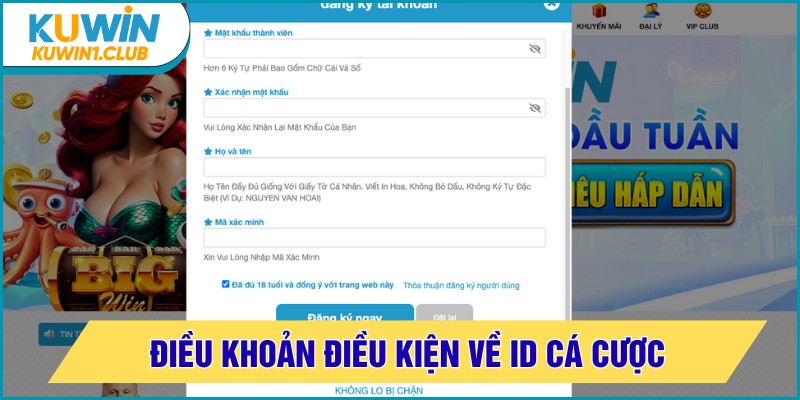 điều khoản điều kiện id cá cược