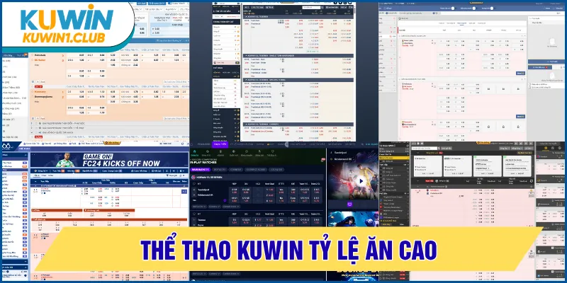 thể thao kuwin tỷ lệ ăn cao